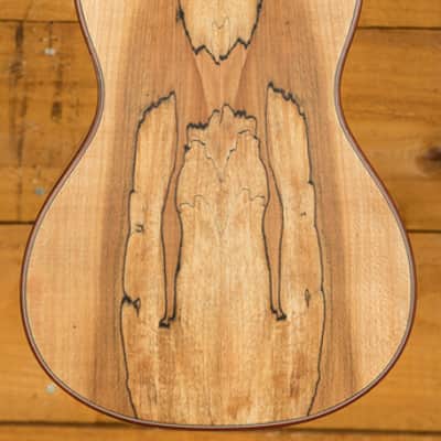 Cordoba 24 Series Ukes | 24C Spruce Concert Ukulele - Natural image 4