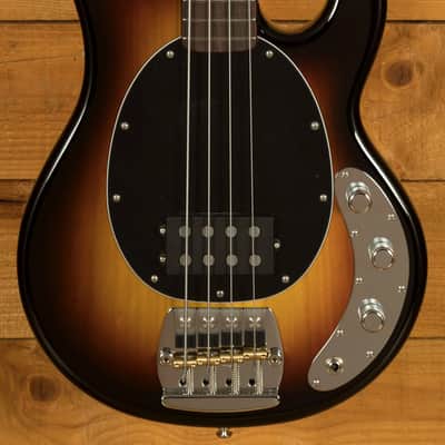 Music Man Pino Palladino StingRay Bass - Rosewood - '79 Burst image 3