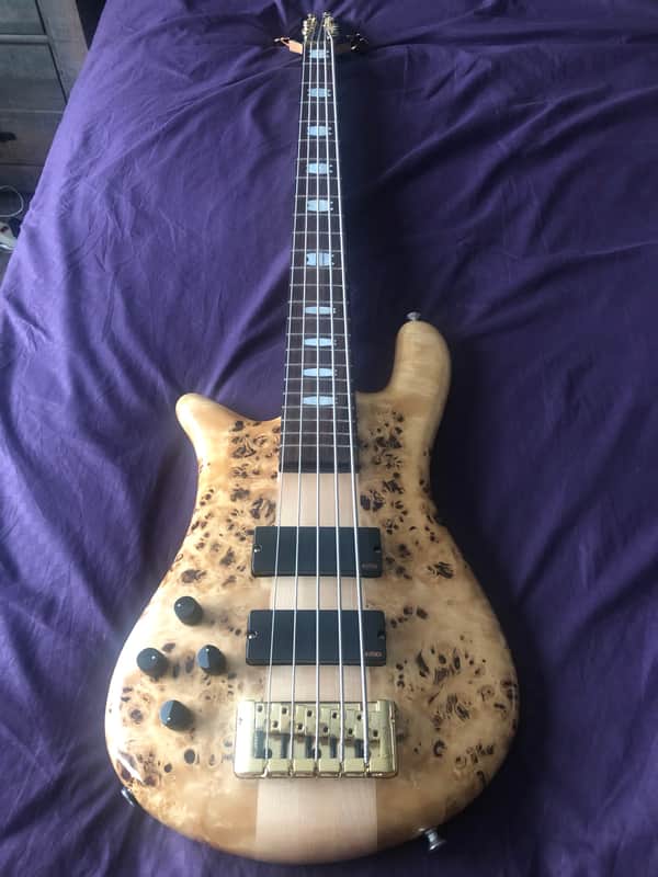 Spector EURO 5 String Left Handed 2017 Poplar Burl image 1