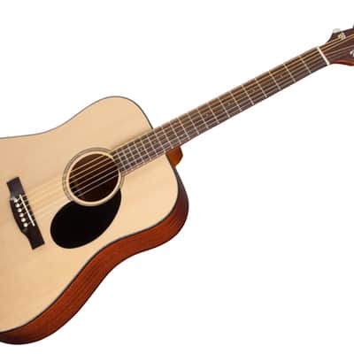 SX DG/LTD2 1999-2000 - Matte Natural Dreadnaught Acoustic Guitar