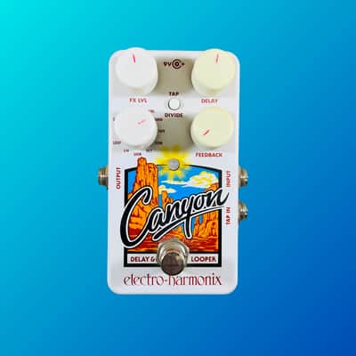 Electro-Harmonix Canyon Delay & Looper Pedal image 1