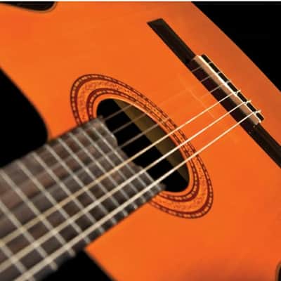 Washburn C5CE Classical Cutaway Acoustic Electric Guitar. Natural image 2