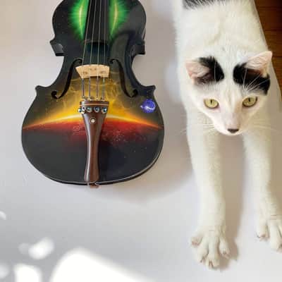 Rozanna's Galaxy Ride 4/4 Violin Outfit w/ crystal fine tuners, carbon fiber bow image 2