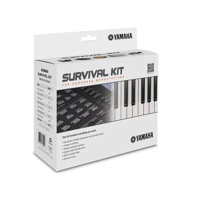 Yamaha SK-AW Arranger Workstation Survival Kit