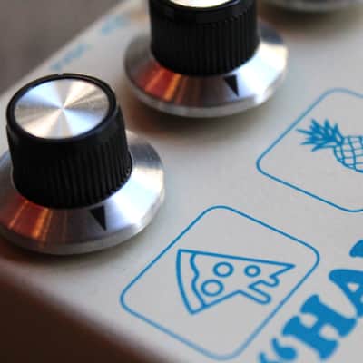 CAROLINE  "Hawaiian Pizza Fuzz" image 6