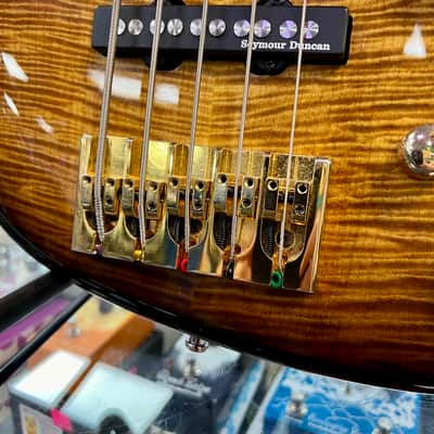 Wilkins Exotic 5 String Bass Made In USA with Gig Bag - Pre Owned image 5
