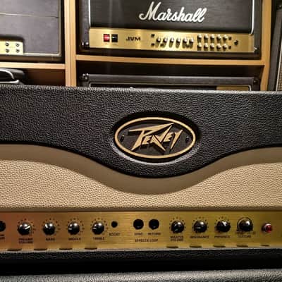 Peavey Windsor 100-Watt Guitar Head image 1