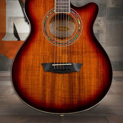 Washburn EA55G-A Festival Series Cutaway Acoustic/Electric Guitar - Koa Burst (EA55G-A-U) image 1