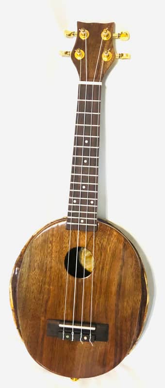 Turtle Shell Soprano Ukulele image 1