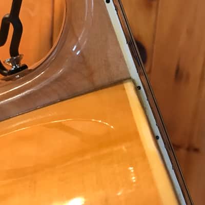 Epiphone FT-570 BL 1970’s Natural image 2