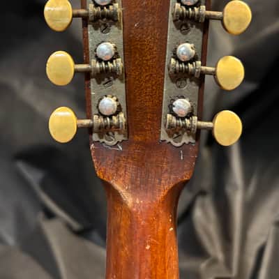 American conservatory Lyon & Healy Bowl Back mandolin - Early 1900s  - Brazilian Rosewood - All Org. - Great Player - Ships FREE!!! image 11