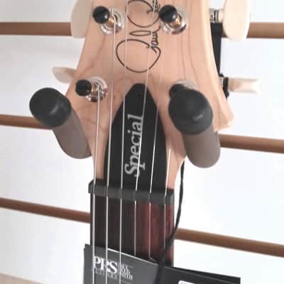 Paul Reed Smith PRS Swamp Ash Special Rosewood Board White Doghair Smokeburst New image 4
