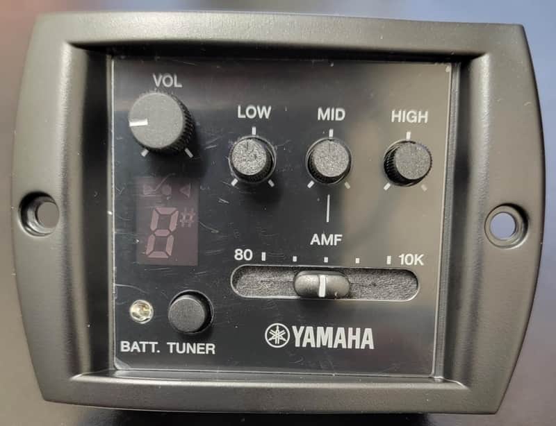 Yamaha AMP-AGA preAmp for APX series | Reverb