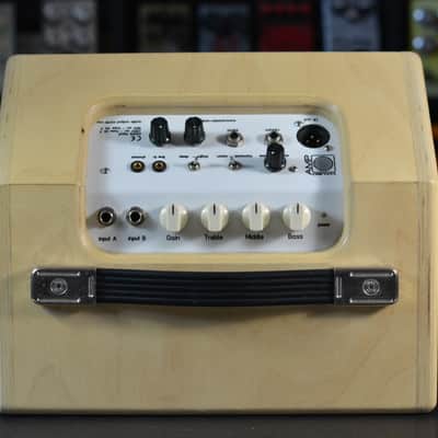 Mambo Amp 10" combo image 3