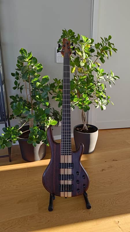 Woodo B5 Walnut 2010-2015 - Natural Satin image 1