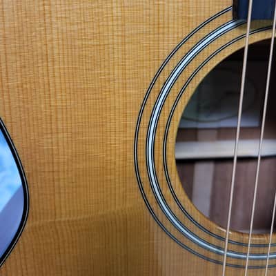 Video Demo 2006 Taylor 314CE Sitka Spruce Top Sapele Back and Sides Ebony Fretboard Expression System 1 Electronics Venetian Cutaway Pro Setup New Strings Taylor Deluxe Hardshell image 6
