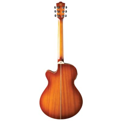 Washburn EA15 Festival Series Mini Jumbo Cutaway Acoustic Electric Guitar. Ice Tea Burst image 9