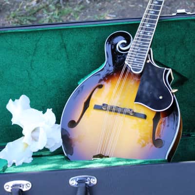 Washburn M3SWK Bluegrass F-Style Mandolin with Hardshell Case- Sunburst image 7