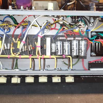 TriGens Amplification Maverick Amp image 5