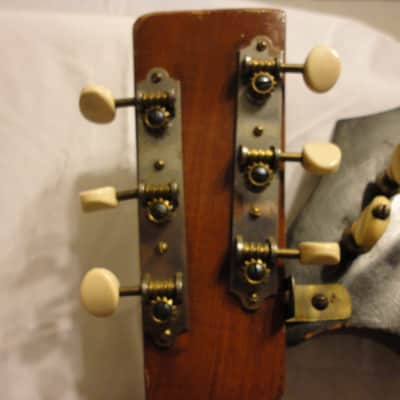 Knutsen Symphony 18 String Harp Guitar 1902 Natural image 7