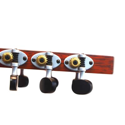 Schertler SM Acoustic Guitar – A Rare Gem in Electro-Acoustic Innovation - check video! image 8