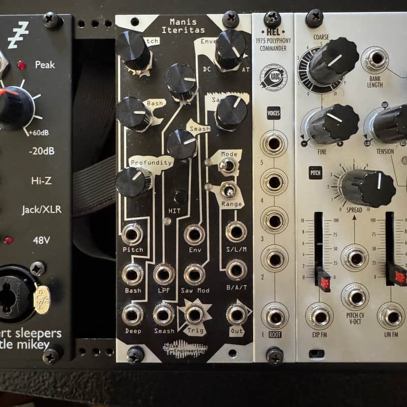 Noise Engineering Manis Iteritas