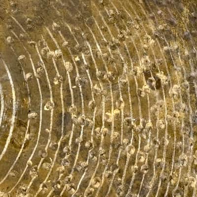 ORIGINAL 18” Zildjian K CUSTOM SPECIAL DRY Crash 1546g image 5