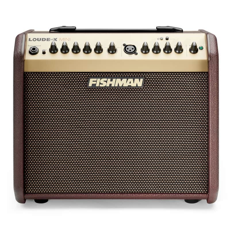 Fishman Loudbox Mini with Bluetooth PRO-LBT-500 image 1