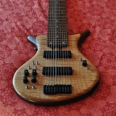 Warr Guitars Artist 10 ***FINAL REDUCTION FOR QUICK SALE*** image 1