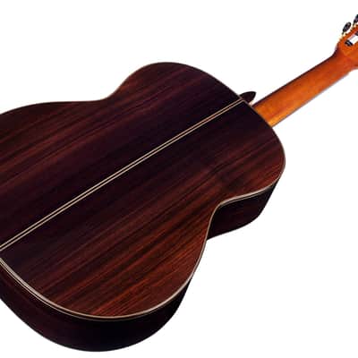 Cordoba Luthier C10 CD Classical Acoustic Guitar image 4