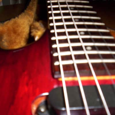 Vintage Aria Pro II / Case CT Series /Floyd Rose early 80's Red Mahogany image 11