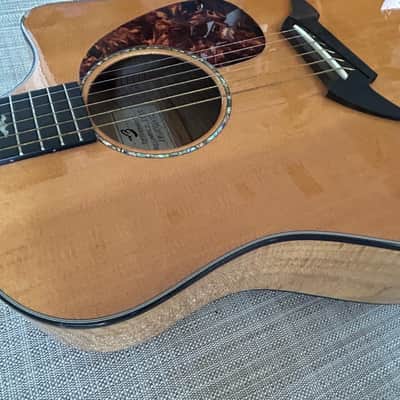 Breedlove Performance Focus D 2004 - new frets, Natural image 4