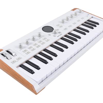 Arturia AstroLab 37 Stage Keyboard image 3
