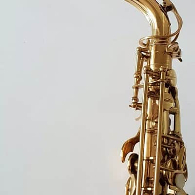 Alto Saxophone - Sax in Eb Gold Finish & Soft Case Complete Outfit By Chase~ image 4
