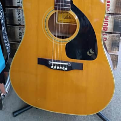 Vintage Aria 794 Acoustic – Early 70s MIJ Sleeper - Coolness on a Budget! image 1