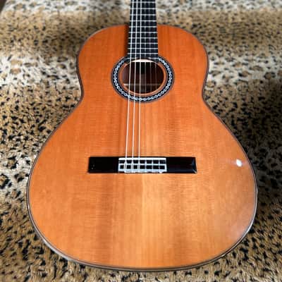 Cordoba C9 Parlor Nylon String Acoustic Guitar Natural image 6