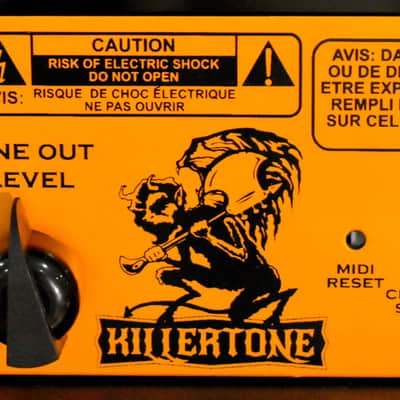 Fortin Amplification Evil Pumpkin Head image 4