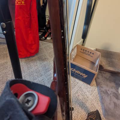 Warwick Streamer Std 2001 Honey Violin image 10