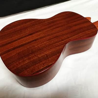 KALA Solid Cedar Top Acacia Concert UKULELE new UKE KA-ACP-CTG w/ Hard Case image 7