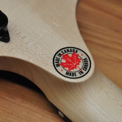 F Bass BN5 Faded Red image 19