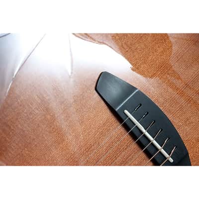 Breedlove Premier Redwood-East Indian Rosewood Concertina CE Acoustic-Electric Guitar Regular Edge Burst image 5