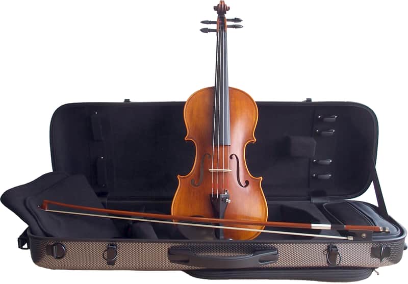 Stentor SR1880OFTA Violin 4/4, Handmade ProSeries Arcadia, Fernambuk Bogen, DeLuxe Case Polycarbonat image 1