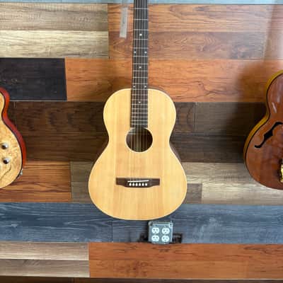 Recording King EZ tone parlor A acoustic - ultra thin Polyurethane image 2