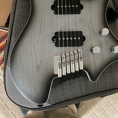 Strandberg Guitars Strandberg Limited-edition Salen APS Monochrom Electric Guitar - Monochrom 2024 image 2