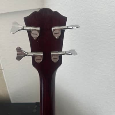 Washburn AB-10 - Natural image 8