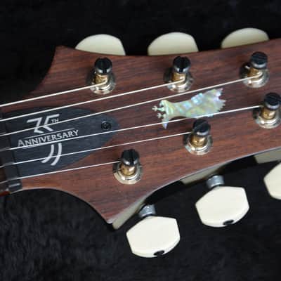 SUNDAY DEAL ! PRS Custom 24 Birds 35th Anniversary*made in USA 2021*finest flame top*this fine Paul Reed Smith sounds/plays/looks like a dream! image 12