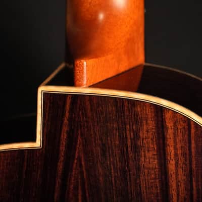 aNueNue Black Whale Tenor 2026 image 11