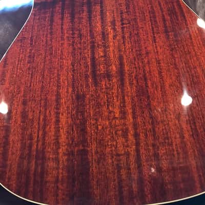 Eastman Ac320ce image 5