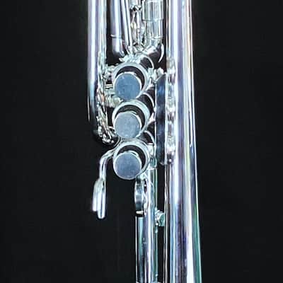 BERKELEY Raw Brass STD Eb/D Trumpet w/ Extra Silver D Bell 2019ish - SILVER PLATED image 10