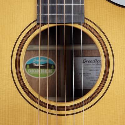 Breedlove Performer Pro Dreadnought Concerto CE - Aged Toner With OHSC Free Shipping image 10
